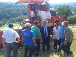 Pocetak berbe vrsidbe
