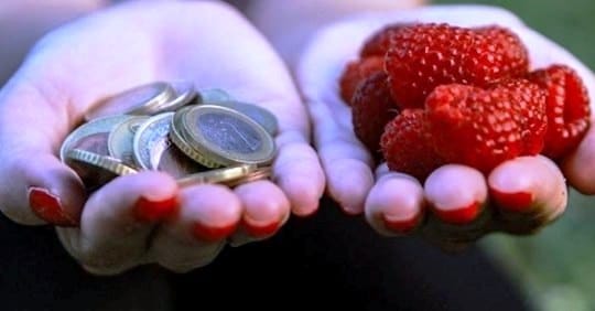 Njoftim për fermerët