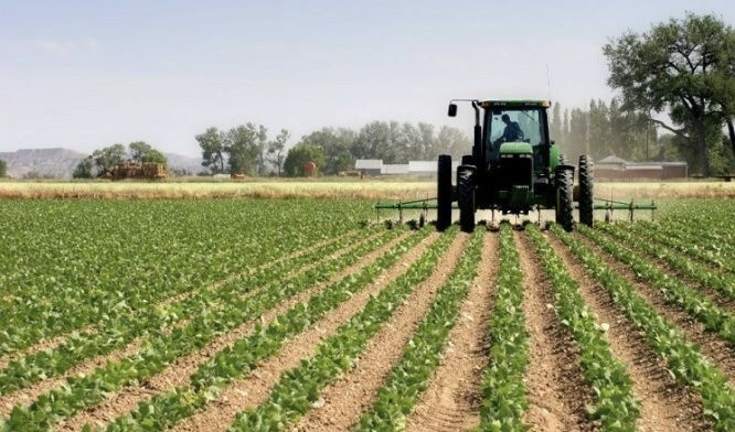  Ministria e Bujqësisë, Pylltarisë dhe Zhvillimit Rural fton të gjithë fermerët e interesuar që të aplikojnë për mbështetje përmes Programit për Pagesa Direkte për vitin 2022